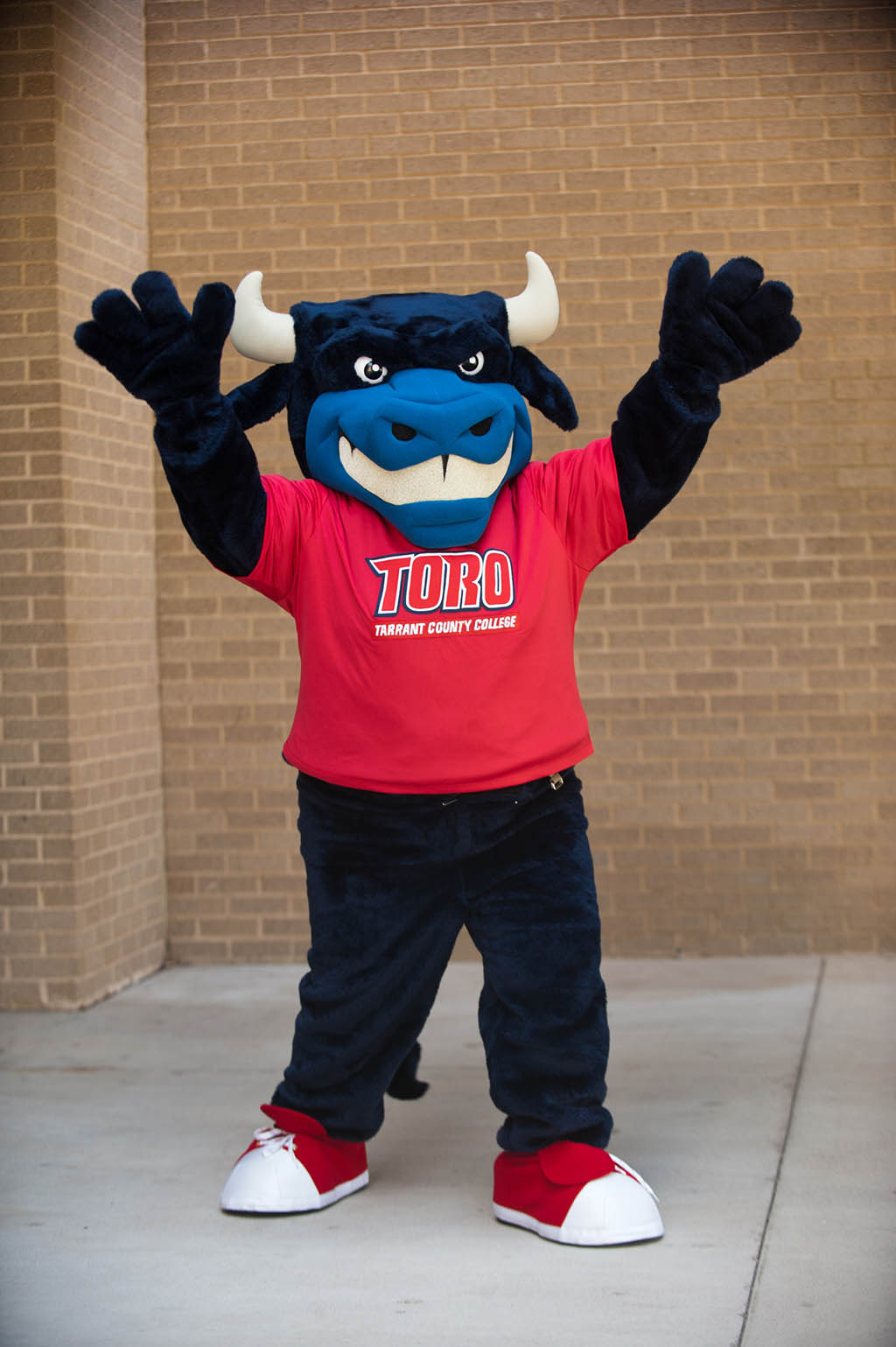 Toro, the TCC mascot