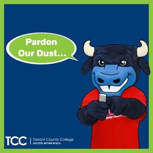 Pardon Our Dust
