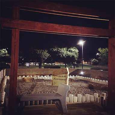 Zen gardens at night