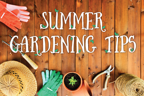 Summer Gardening Tips text overlaid on an image of gardening implements laying on a table