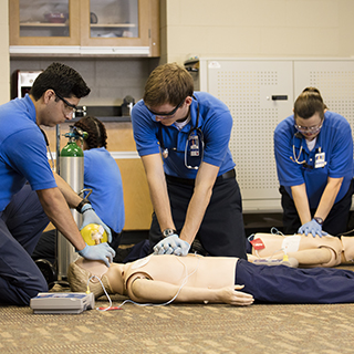 Students practicing CPR on dummy