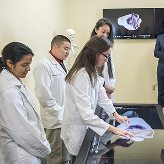 STEM students working in lab