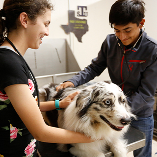 Students holding a dog