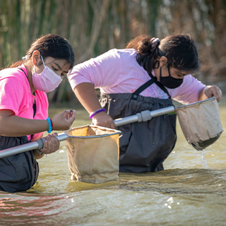 women standing in stream with nets